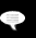 Forum Icon